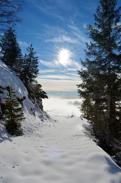 Verso Il sole 1