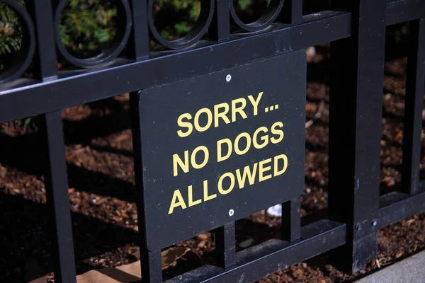 Извините Солнечный День Забор Сада Пускают Собак Черно Желтыми Табличками — стоковое фото