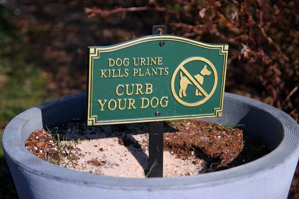 Dog Urine Kills Plants Curb Your Dog Green Sign Soil — Stock Photo, Image