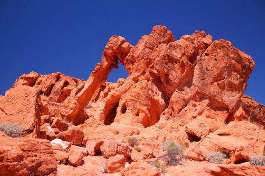 Fil şekilli kaya, Nevada 'daki Ateş Vadisi Parkı' nda güneşli bir günde