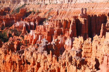 Utah 'taki Bryce Canyon Ulusal Parkı' nda günbatımı noktasından çekilen kırmızı ve turuncu renklerin güzelliği.