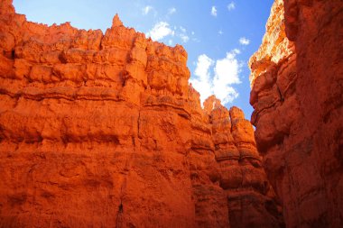 Utah 'taki Bryce Canyon Ulusal Parkı' nın dibindeki kayaların yoğun turuncu rengi.