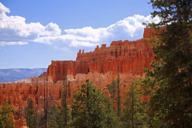Utah 'taki Bryce Canyon Ulusal Parkı' nın kızıl kaya kabadayılarının yarattığı merdiven manzarası.