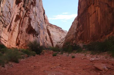 Utah 'taki Capitol Reef Ulusal Parkı' nda terk edilmiş dar bir kanyonda bir off-road macerası.