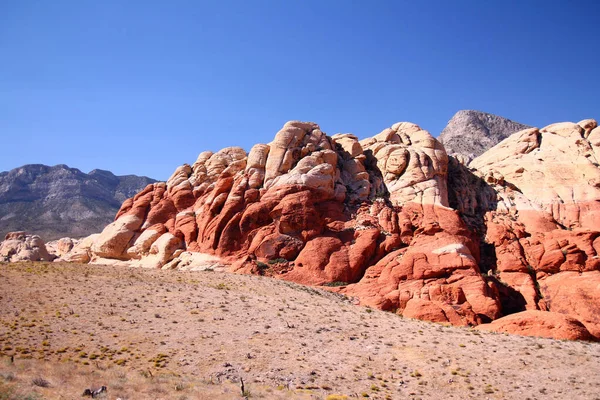 Nyanserna Rött Stenarna Red Rock Canyon Nevada Öknen Klarblå Himmel — Stockfoto