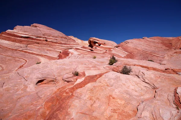 White Pink Red Rock Valley Fire Nevada — Stock Photo, Image