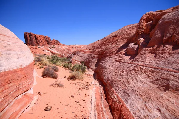 Каньйон Вогню Червоними Скелями Задній Стіні Долині Пожежного Штату Пустелі — стокове фото