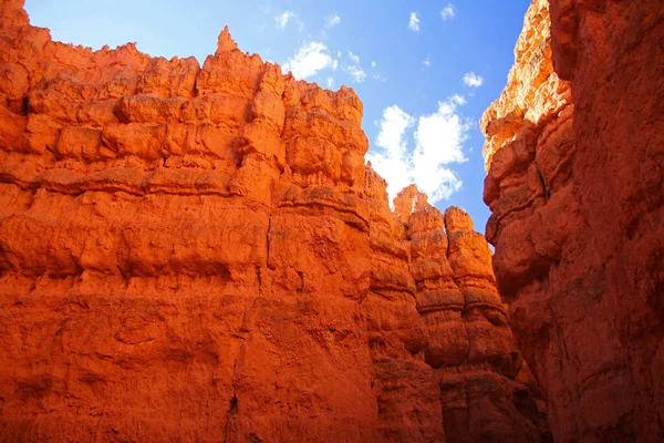 Utah 'taki Bryce Canyon Ulusal Parkı' nın dibindeki kayaların yoğun turuncu rengi.