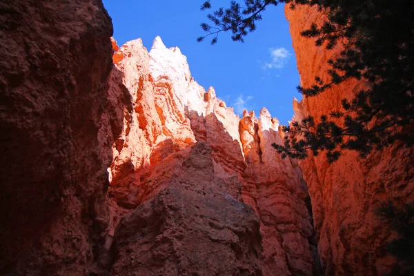 Růžové Oranžové Odstíny Stěn Skal Dna Národního Parku Bryce Canyon — Stock fotografie