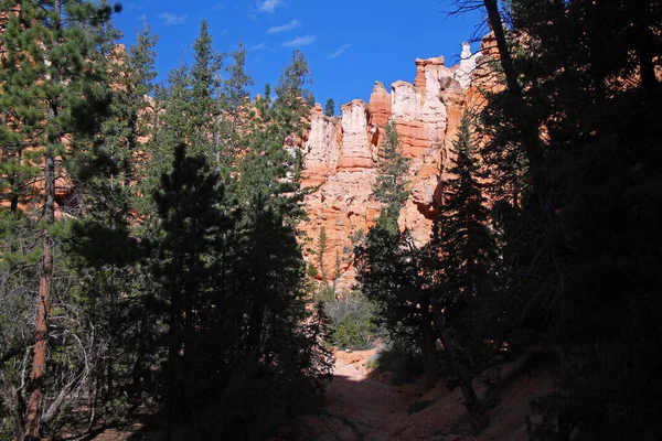 Vörös Sziklaéles Csuklyák Zöld Fenyőfák Mögött Bryce Canyon Nemzeti Parkban — Stock Fotó