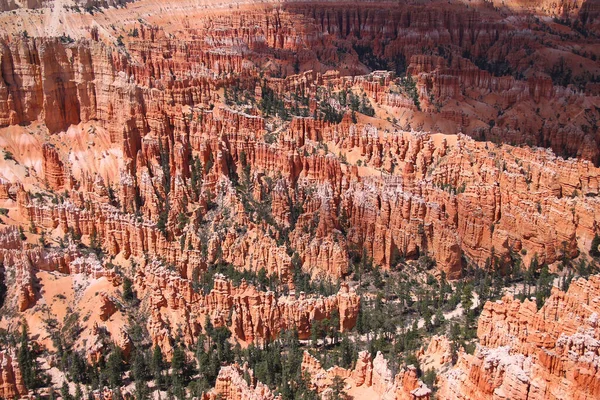 Trilha Jardim Rainha Atravessando Hoodoos Parque Nacional Bryce Canyon Utah — Fotografia de Stock