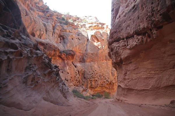 Przygoda Road Wąskim Opuszczonym Kanionie Parku Narodowym Capitol Reef Utah — Zdjęcie stockowe