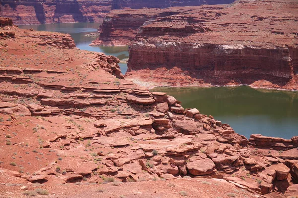 Všechny Zátoky Řeky Colorado Gleen Cnayon Nation Park Utahu — Stock fotografie