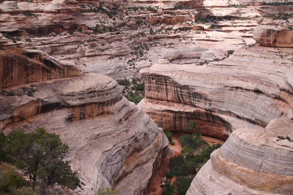 Les Canyons Roses Monument National Des Ponts Naturels Par Une — Photo