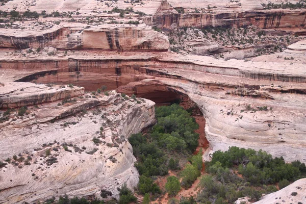 Utah Bulutlu Bir Günde Doğal Köprüler Ulusal Anıtı Nın Pembe — Stok fotoğraf