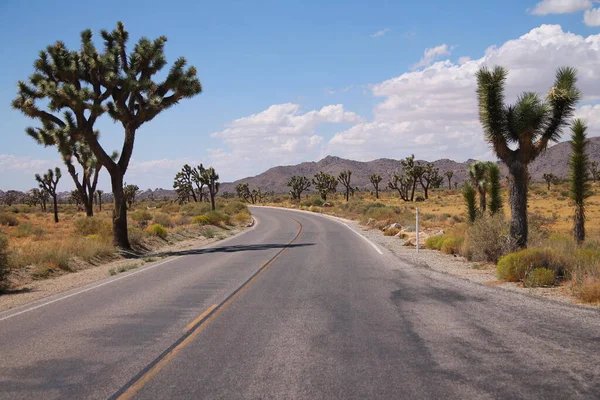 Poeira Estrada Que Atravessa Parque Nacional Joshua Tree Califórnia — Fotografia de Stock