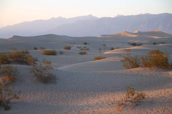Kaliforniya 'daki Ölüm Vadisi çölünde pembe bir günbatımında arkasında dağlar olan Mesquite Düz Kumulları