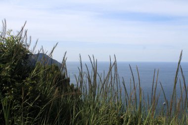İtalya 'nın güneyindeki çimenlerin ve kulakların arkasındaki sonsuz denizin ufku.