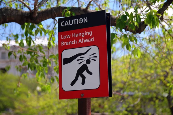 Caution Low Hanging Branch Ahead Red White Sign Icon Representation —  Fotos de Stock