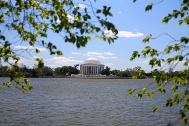 Beyaz Thomas Jefferson Anıtı Washington DC 'de yapraklı gelgit havzasında.