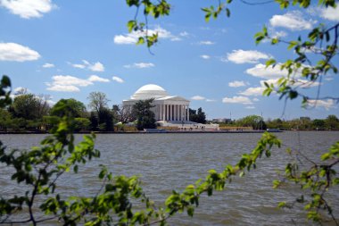 Beyaz Thomas Jefferson Anıtı Washington DC 'de yapraklı gelgit havzasında.