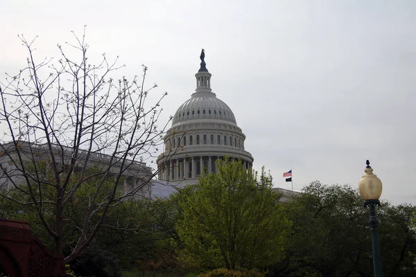 Bílý Capitol Spojených Států Bílou Zataženou Oblohou Vzadu Washingtonu — Stock fotografie
