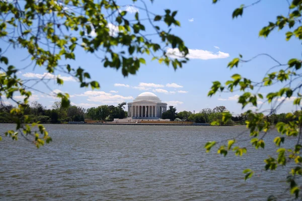 White Thomas Jefferson Memorial Monument Tidvattenbassängen Med Bladen Washington — Stockfoto