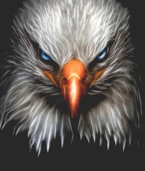 Eagle head close up, fractalius effect