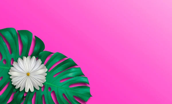 太平洋粉色背景上的热带树叶和白花 — 图库照片