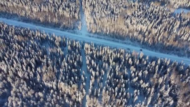 Vista aerea da un drone di una strada in mezzo ad alberi innevati e foresta innevata in una giornata invernale. Una fitta foresta invernale nella taiga o in Siberia, panorama in 4K — Video Stock