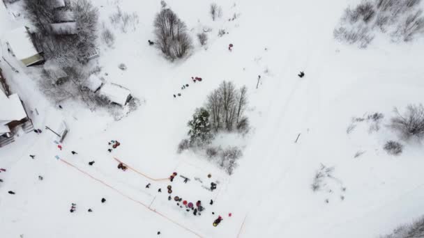 Familias felices bajan la colina en un parque invernal nevado, vista aérea desde un dron — Vídeo de stock