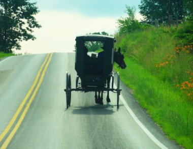 Amish Buggy