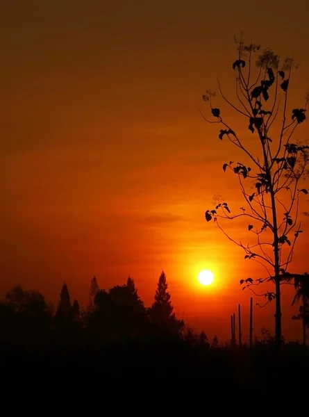 Puesta de sol —  Fotos de Stock