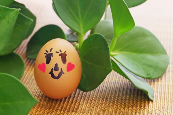 Ägg och växt — Stockfoto