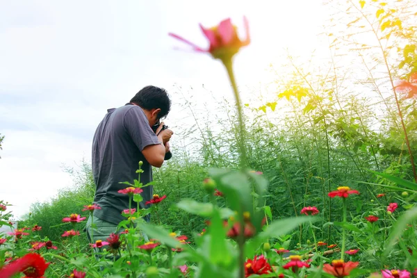 Asain man — Stock Photo, Image