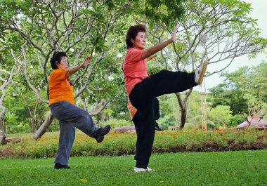 Tai chi