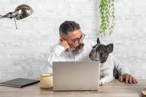 Köpeği ofiste otururken evden çalışan serbest çalışan bir adam. Evde dizüstü bilgisayar ve sevimli bir köpek kullanan bir adam.