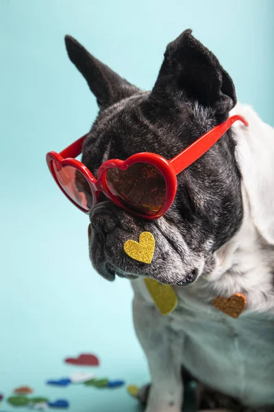 Śmieszne Francuski Buldog Czerwone Okulary Serca — Zdjęcie stockowe