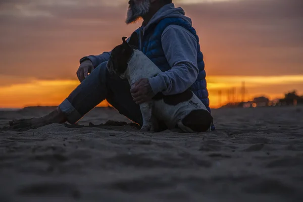 Hombre Con Perro Sentado Playa Contra Cielo Atardecer —  Fotos de Stock