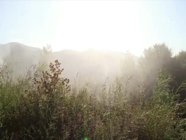 Weather Thick Fog Summer Mountains View Valley — ストック動画