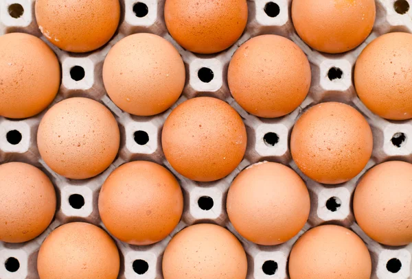 Chicken egg food carton package background — Stock Photo, Image