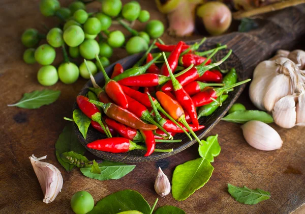 Red chili and many spices — Stock Photo, Image