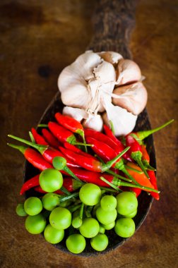 kırmızı biber, patlıcan ve ahşap Kepçe sarımsak