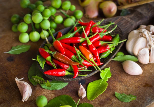 Peperoncino rosso e spezie — Foto Stock