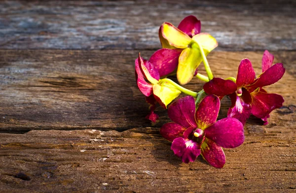 Flor de orquídea na mesa de madeira — Fotografia de Stock