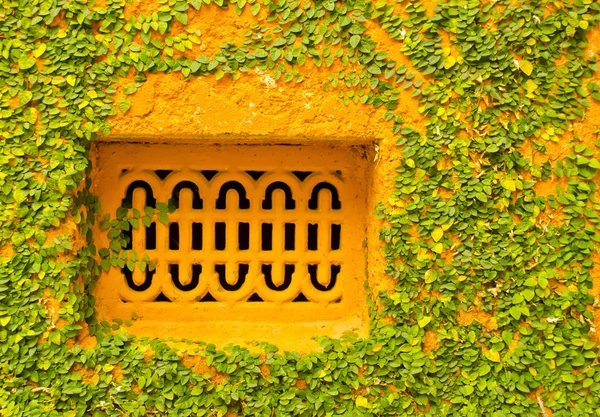 Скелелазіння інжиру на стіні — стокове фото