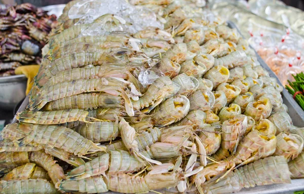 Mantis karides buz ile