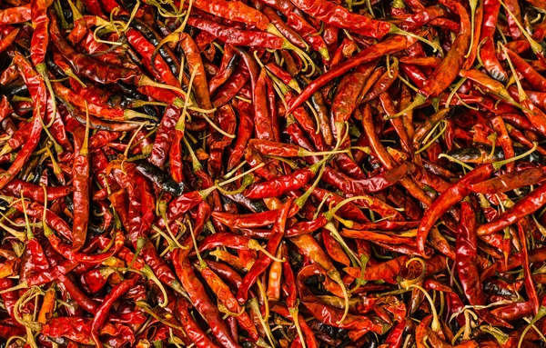 Szárított chili — Stock Fotó