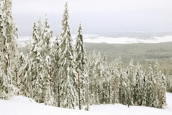 Donkere winterlandschap — Stockfoto