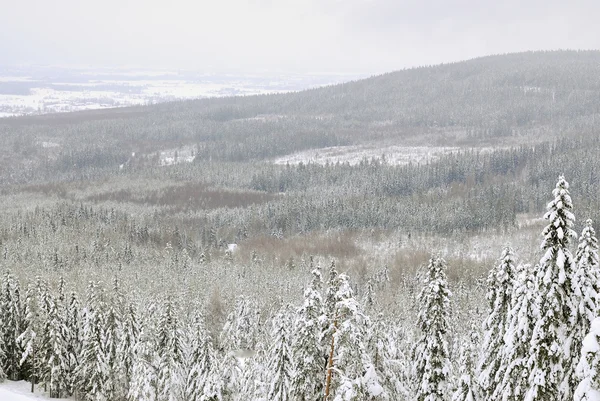 Paesaggio invernale scuro — Foto Stock